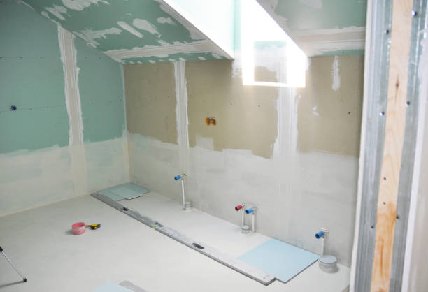 Best Mold Documentation for Insurance Claims  in Flossmoor, IL