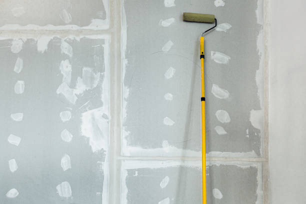 Best Flood Damage  in Flossmoor, IL