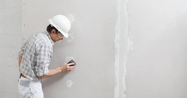 Best Biohazard Mold Removal  in Flossmoor, IL
