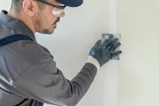 Environmental Consulting for Mold Prevention in Flossmoor, IL