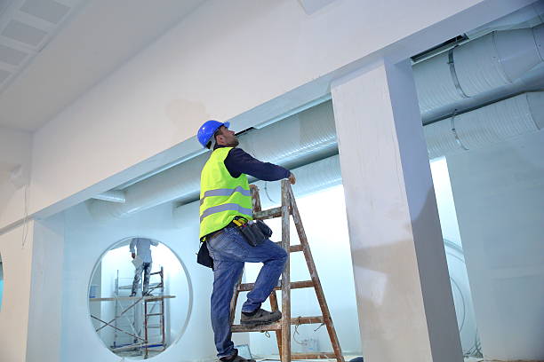 Flossmoor, IL Mold Removal Company